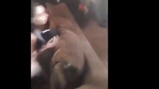 Sister Gives Passoinate BJ To