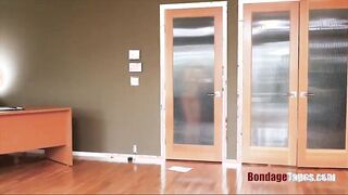 Human pets are so much better - Stephanie West